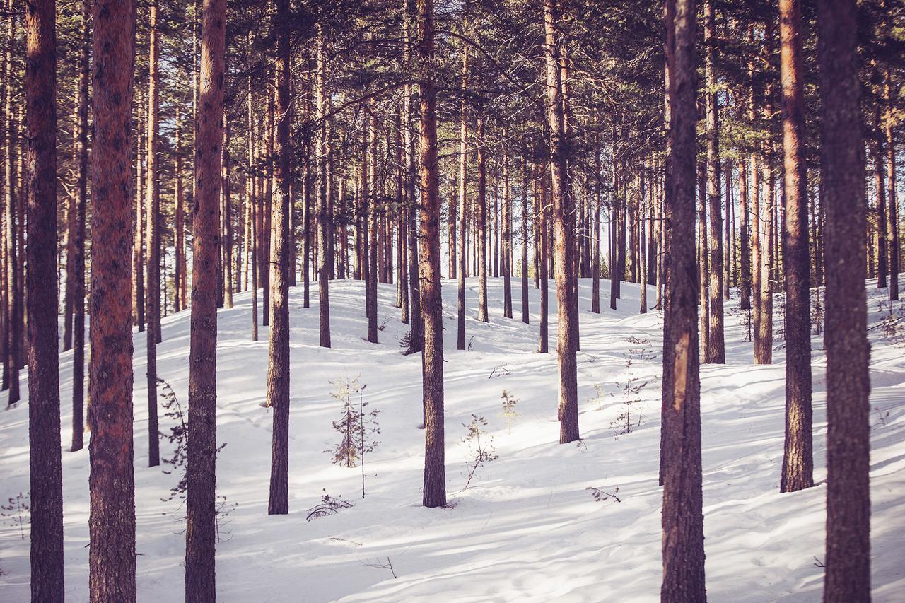 Vuokatti Sport Resort Экстерьер фото